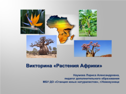 Викторина «Растения Африки», слайд 1