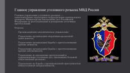 Полиция как один из органов МВД России, слайд 6