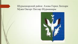 Символы Ямало-Ненецкого автономного округа и города новый Уренгой, слайд 11