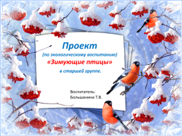 Проект (по экологическому воспитанию) «Зимующие птицы» в старшей группе