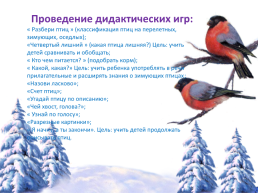 Проект (по экологическому воспитанию) «Зимующие птицы» в старшей группе, слайд 10