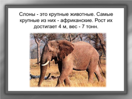 А. И. Куприн «Слон», слайд 3