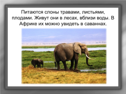 А. И. Куприн «Слон», слайд 6