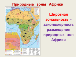 Тема урока: особенности природы Африки 7, слайд 30