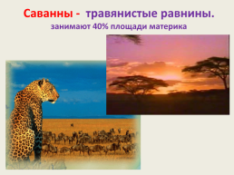 Тема урока: особенности природы Африки 7, слайд 34