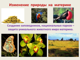 Тема урока: особенности природы Африки 7, слайд 44