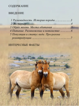 Красная книга. Лошадь Пржевальского, слайд 2