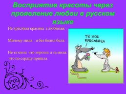 Вербализация концепта «Красота» в русских и английских пословицах, слайд 11