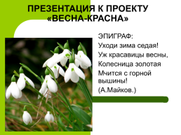 К проекту «Весна-красна», слайд 1