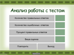 Итоговый тест по русскому языку, слайд 14
