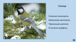 Загадки о зимующих птицах, слайд 3