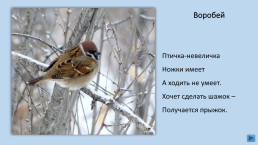 Загадки о зимующих птицах, слайд 4
