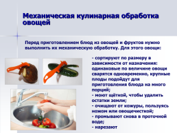 Блюда из овощей и фруктов, слайд 10