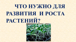 Условия роста и развития растений, слайд 18