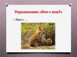 Животные Южного Урала, слайд 3