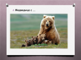 Животные Южного Урала, слайд 6