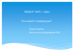 Кто живет в аквариуме?, слайд 1