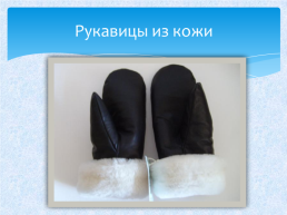 Какие рукавицы нужно носить в Арктике?, слайд 3