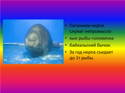 Великий Байкал, слайд 12