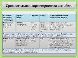 Группы растений: сравнительная характеристика отделов, классов и семейств высших растений, слайд 6