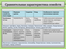 Группы растений: сравнительная характеристика отделов, классов и семейств высших растений, слайд 7