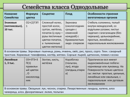 Группы растений: сравнительная характеристика отделов, классов и семейств высших растений, слайд 8
