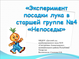 Эксперимент посадки лука в старшей группе №4 «Непоседы».