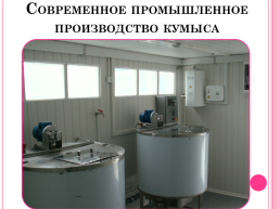 Кумыс- чудодейственный источник здоровья Башкортостана, слайд 19