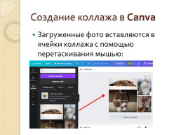 Создание фотоколлажа с помощью графического онлайн-сервиса canva, слайд 9