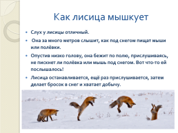 Книга зимы (по рассказам отечественных писателей-натуралистов), слайд 10