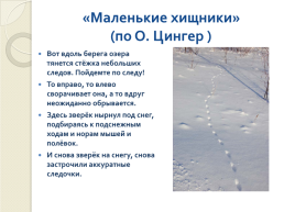 Книга зимы (по рассказам отечественных писателей-натуралистов), слайд 11