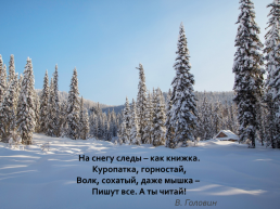 Книга зимы (по рассказам отечественных писателей-натуралистов), слайд 13