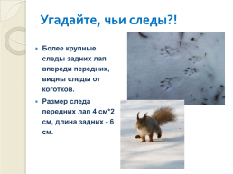 Книга зимы (по рассказам отечественных писателей-натуралистов), слайд 14