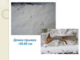 Книга зимы (по рассказам отечественных писателей-натуралистов), слайд 15