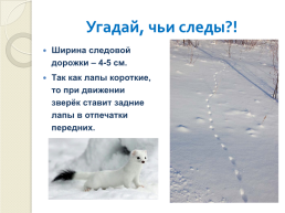 Книга зимы (по рассказам отечественных писателей-натуралистов), слайд 18