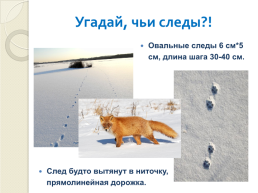 Книга зимы (по рассказам отечественных писателей-натуралистов), слайд 20