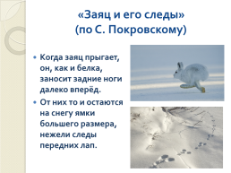 Книга зимы (по рассказам отечественных писателей-натуралистов), слайд 5