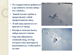 Книга зимы (по рассказам отечественных писателей-натуралистов), слайд 7