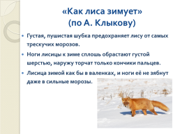 Книга зимы (по рассказам отечественных писателей-натуралистов), слайд 8