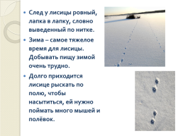 Книга зимы (по рассказам отечественных писателей-натуралистов), слайд 9