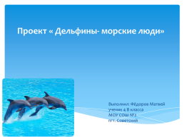 Проект «Дельфины- морские люди», слайд 1