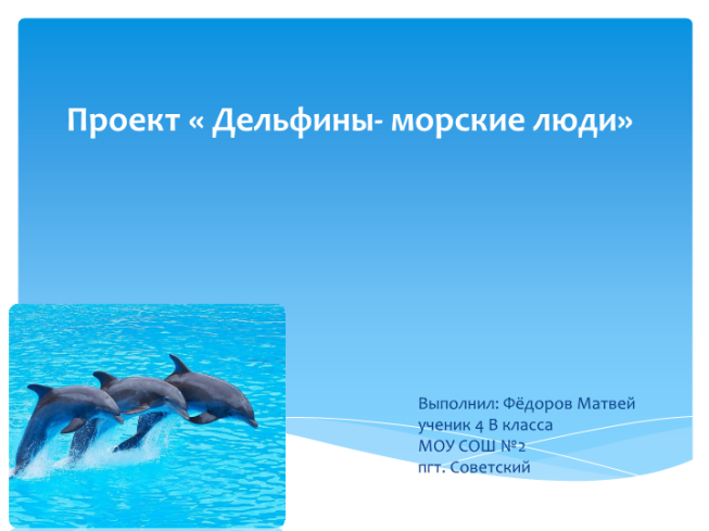 Проект «Дельфины- морские люди»