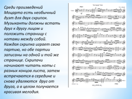 Интересные факты о скрипке, слайд 19