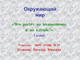 Окружающий мир. «Что растёт на подоконнике и на клумбе?»