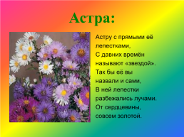 Окружающий мир. «Что растёт на подоконнике и на клумбе?», слайд 14