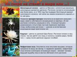 Редкие растения и животные, слайд 16