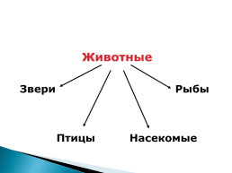 Занятие по зеленой тропинке. Плешаков. «Разнообразие животных», слайд 5