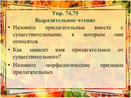 Имя прилагательное. Презентация к уроку русского языка в 5 классе (учебный комплекс п/р в. В. Бабайцевой), слайд 10