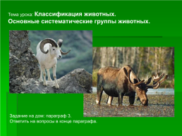 Тема урока: классификация животных. Основные систематические группы животных, слайд 1