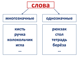 Русский язык. Обозначение и многозначение, слайд 10